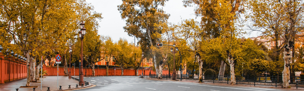 viajar a sevilla en otoño